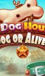The Dog House- Dog or Alive